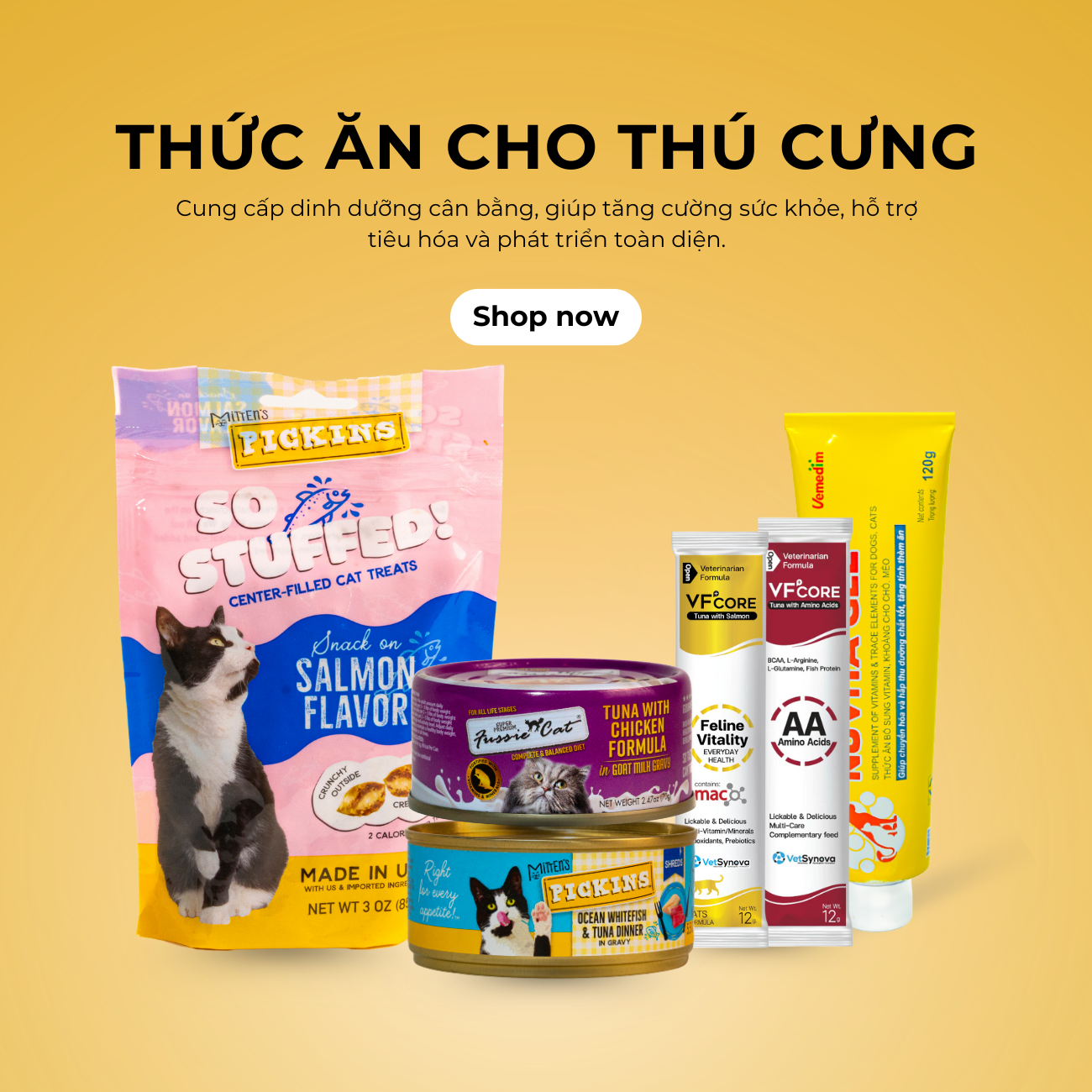Icon Thức ăn phổ biến