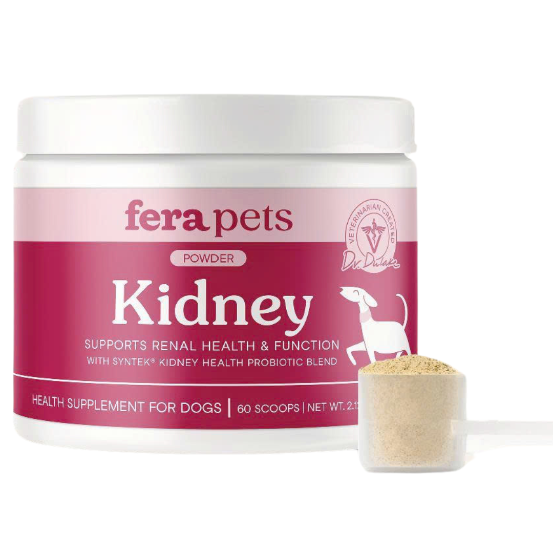 Bột bổ sung Fera Pet Kidney cho chó chăm sóc sức khỏe và hỗ trợ chức năng thận cho chó 60g