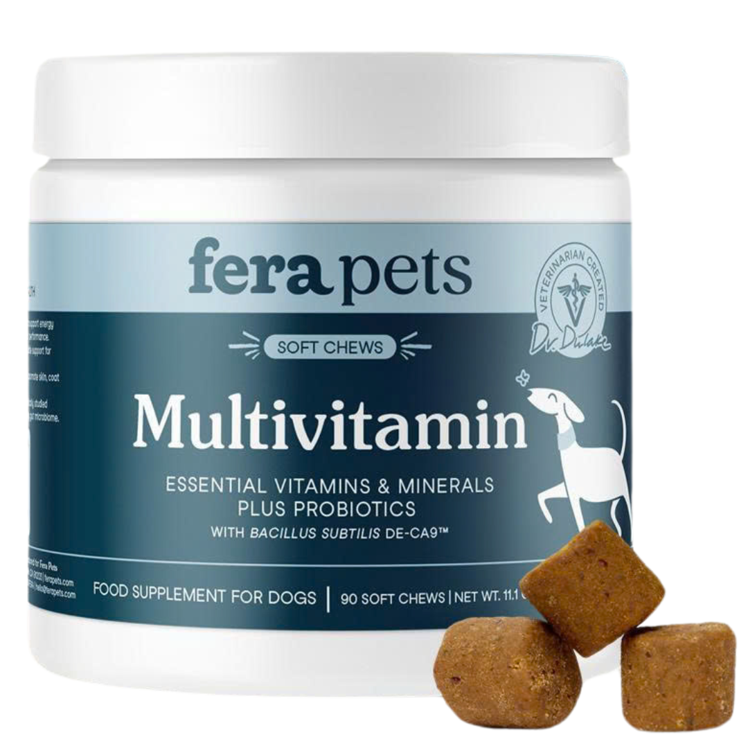 Viên nhai dẻo Fera Pets Multivitamin hỗ trợ sức khỏe toàn diện cho chó mèo hộp 90 viên